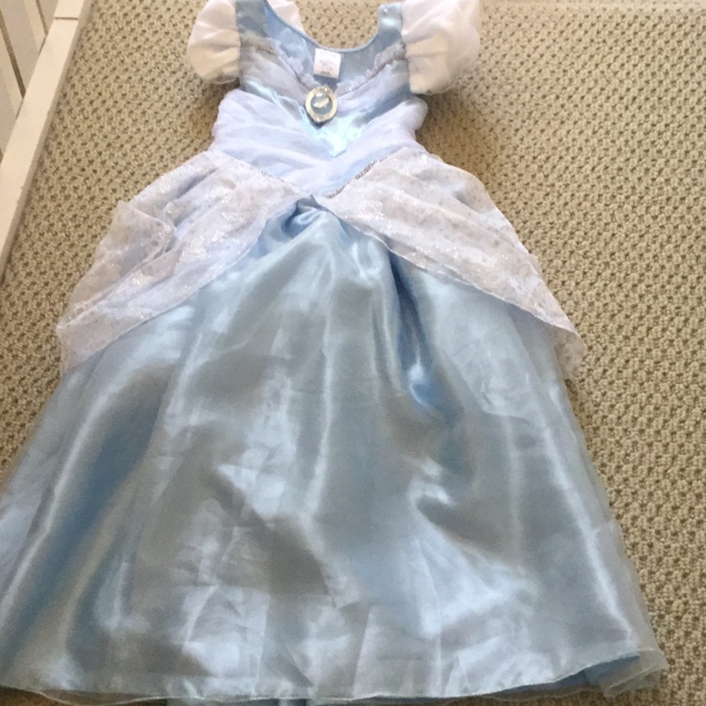 Cinderella Costume